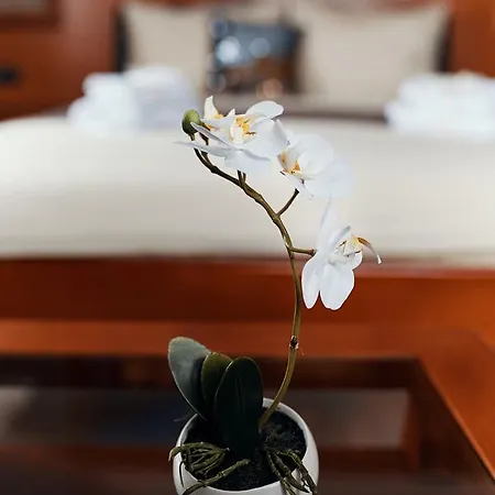 Lux Apartment Belgrade